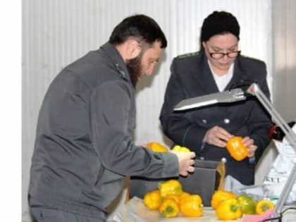 Роспотребнадзор РД выявил зараженную растениеводческую продукцию, ввозимую из соседних стран