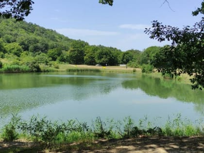 Голосуйте за ЭКОТРОПиЮ !