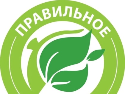 Неделя здорового питания — давайте начнем сегодня