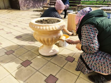 Двор Г. Цадаса 46 присоединился к республиканскому субботнику