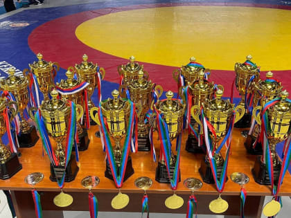 Первенство по боксу памяти Магомеда Магомедова состоялось в Хасавюрте