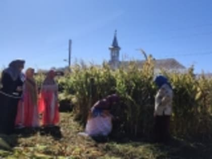 День сельских женщин отметили в Гумбете