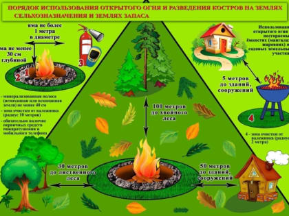 ПОРЯДОК ИСПОЛЬЗОВАНИЯ ОТКРЫТОГО ОГНЯ И РАЗВЕДЕНИЯ КОСТРОВ НА ЗЕМЛЯХ СЕЛЬСКОХОЗЯЙСТВЕННОГО НАЗНАЧЕНИЯ, ЗЕМЛЯХ ЗАПАСА И ЗЕМЛЯХ НАСЕЛЕННЫХ ПУНКТОВ