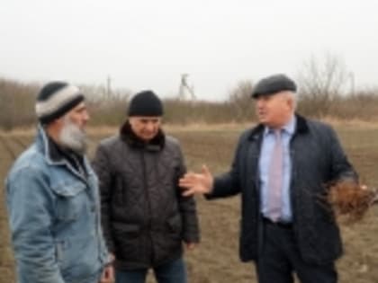 Аграрии Дагестана намерены увеличить площади под «золотым» абрикосом