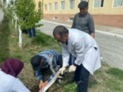 Представители ЦРБ Гумбета присоединились к республиканскому субботнику