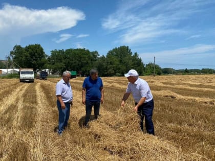 В большинстве районов Дагестана приступили к уборке озимых культур