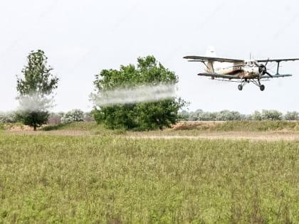 Площадь обрабатываемых полей от саранчовых вредителей в Дагестане уменьшилась на 30 %