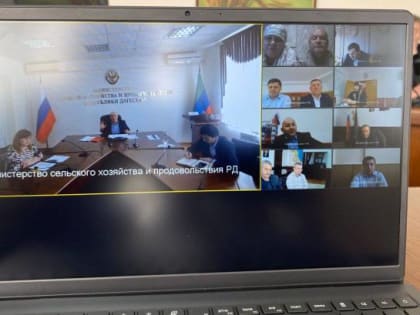 Дагестан втрое увеличил затраты на борьбу с саранчовыми в 2024 году – до 15 млн рублей