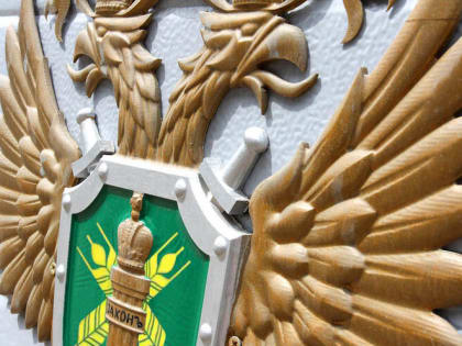 Главу села в Дагестане привлекли к ответственности за сорную амброзию