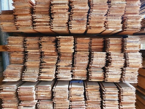 Kayu Kruing