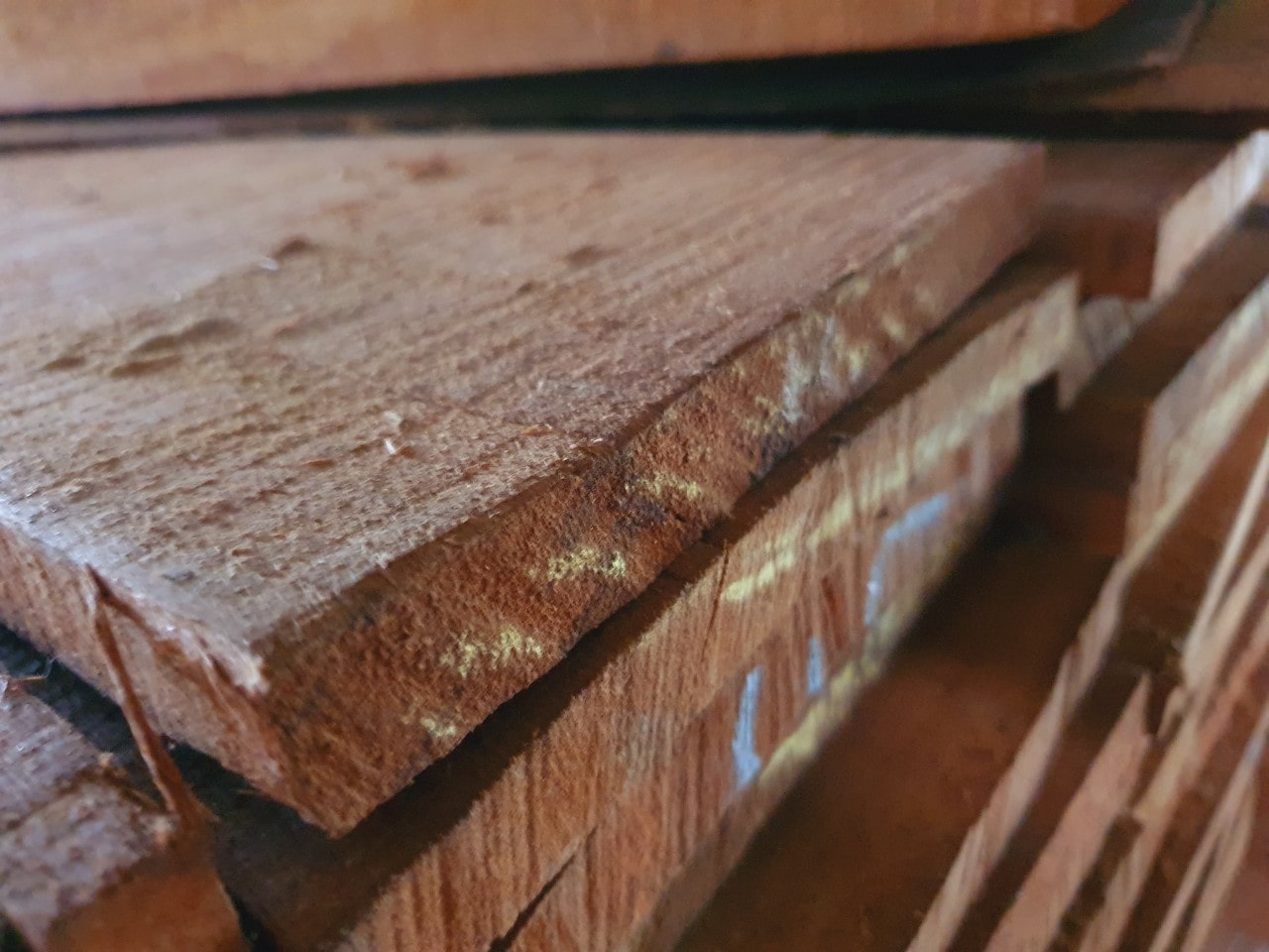 Papan Kamper