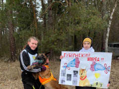 В Протвино впервые провели Чемпионат Московской области по кинологическому биатлону