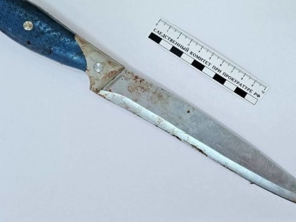 В Подмосковье тёща попыталась убить зятя во второй раз