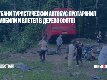 На Кубани туристический автобус протаранил автомобили и влетел в дерево (ФОТО)