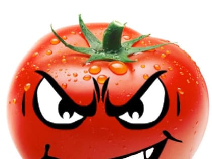 Россельхознадзор выявил опасное вирусное заболевание в семенах томата