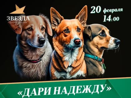 Благотворительная акция «Дари надежду»