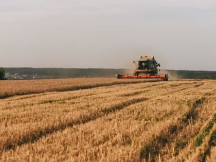 Более 600 гектаров земли введут в оборот в подмосковной Кашире