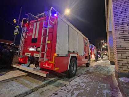 Бабушка и внучка погибли на пожаре в Подмосковье