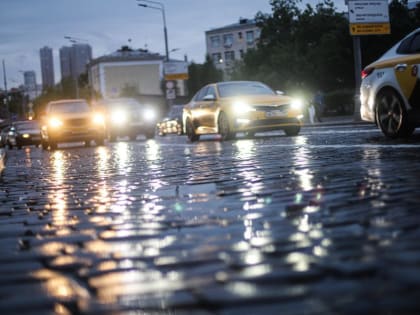 Сильный дождь и прохлада ожидаются в Подмосковье