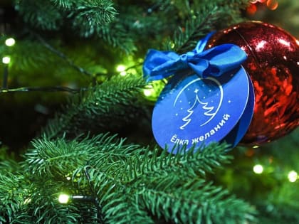 Прием заявок на акцию «Елка желаний» начнется с 15 ноября