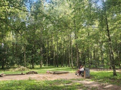 Новые меры по борьбе с загрязнением воздуха в Хавиве