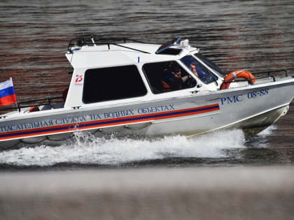 В центре столицы спасли тонущего в Москве-реке мужчину
