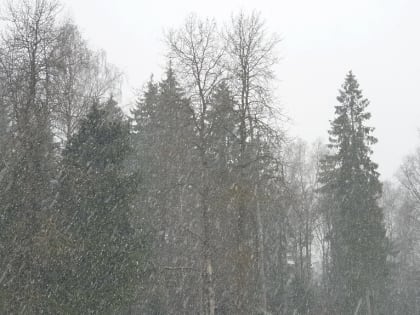 Более трети месячной нормы осадков выпало в Московском регионе в понедельник