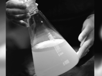 Пять ученых, которых надо знать, если живешь в наукограде Серпухов