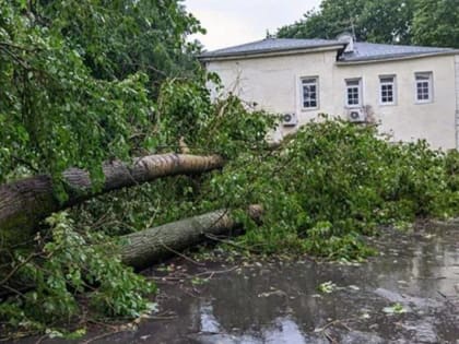 Инспекторы ГУСТ контролируют устранение последствий урагана в Мытищах