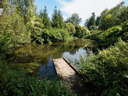 В Дубне провели субботник для благоустройства пруда
