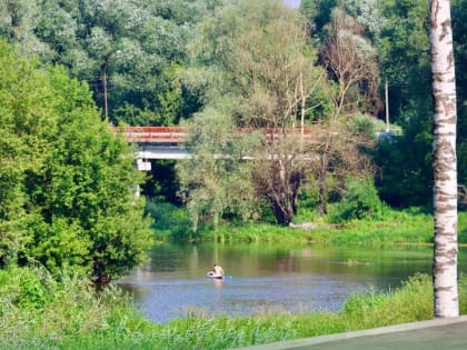 Открытие нового парка в Павловском Посаде вызвало недовольство жителей