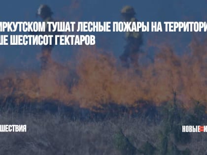 Под Иркутском тушат лесные пожары на территории свыше шестисот гектаров