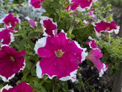 Погода в Талдоме на 19 сентября