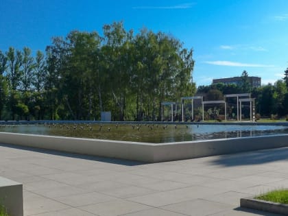 Рыбки и фонтан – несовместимы 