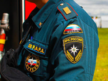 МЧС опубликовало мем для любителей поджигать растительность