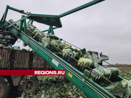 Новые инициативы в сфере здравоохранения: что ждать в 2024 году