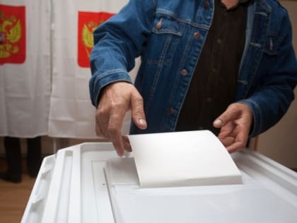 Выборы в Одинцове: безопасность и порядок во время голосования