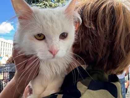 Благотворительная выставка животных в Одинцово