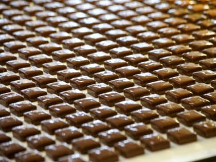 Акции липецкой кондитерской фабрики Порошенко перешли в доход России