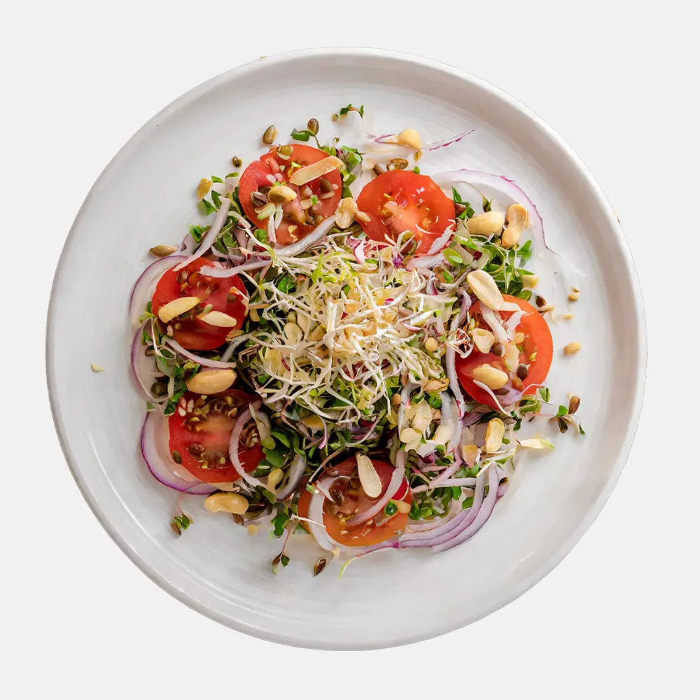 Ensalada de verdolagas