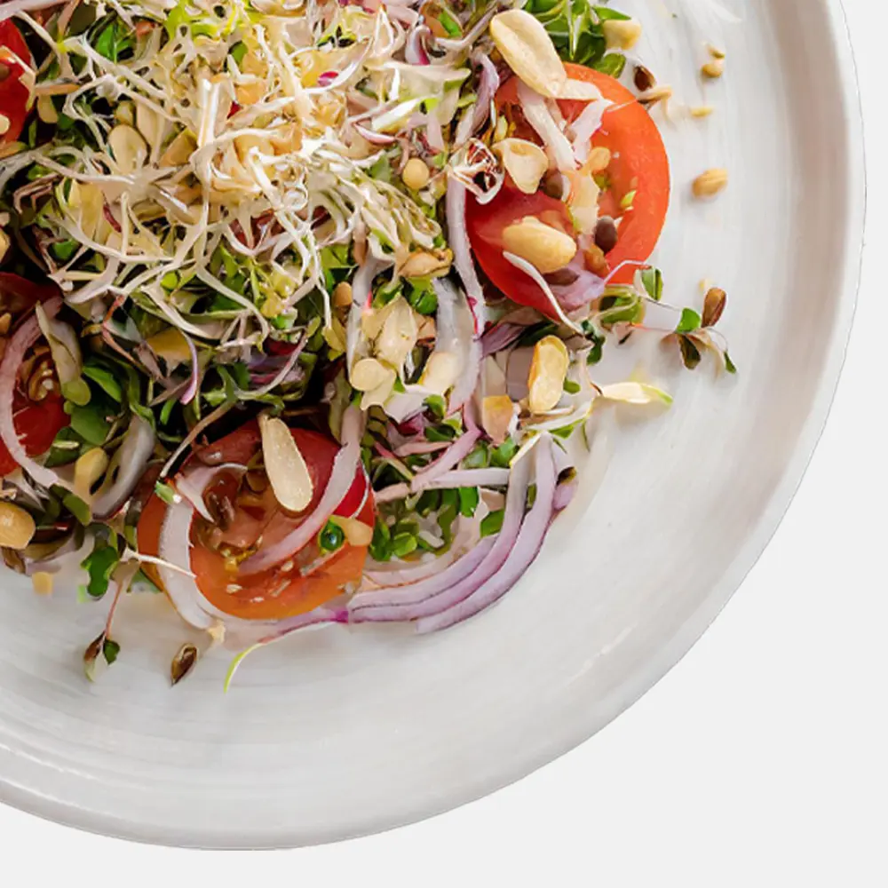 Ensalada de verdolagas