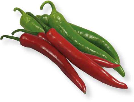 Chile de árbol