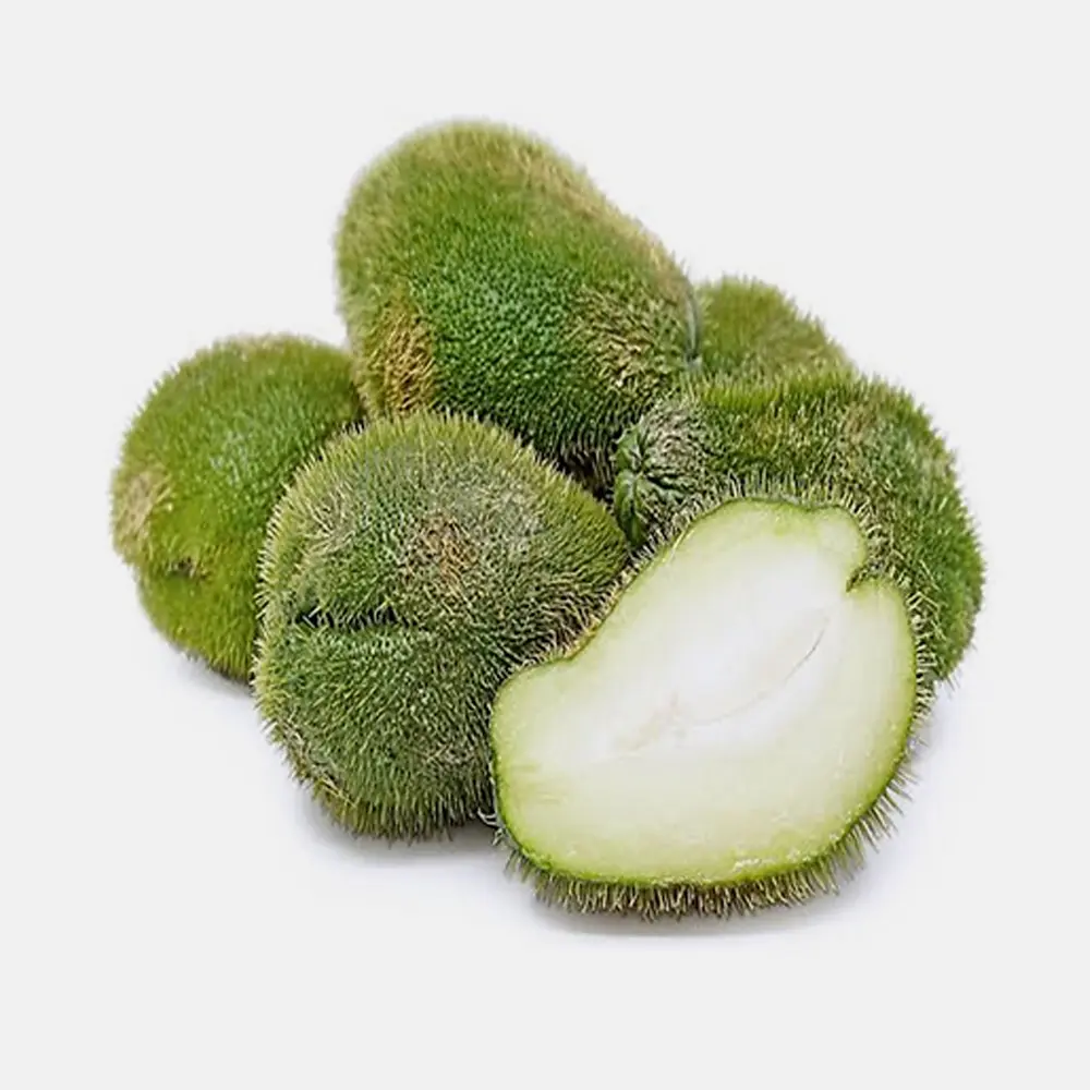 Chayote con espinas