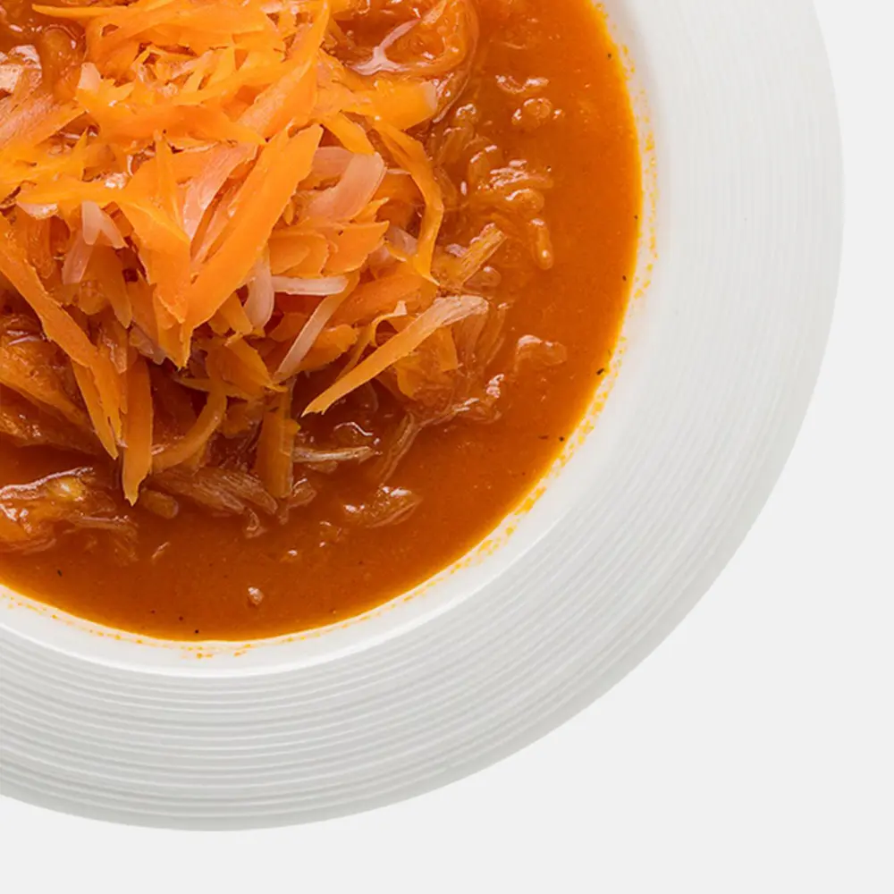 Vegan - Tinga