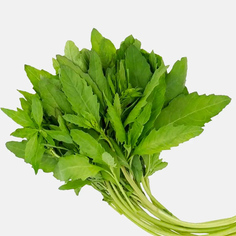 Epazote