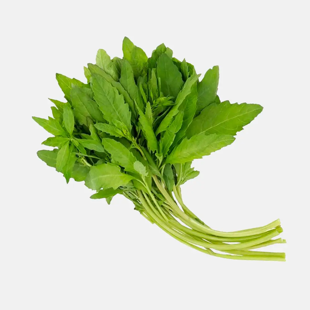 Epazote