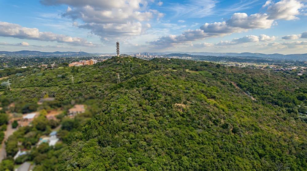 Development Land For Sale In Lynnwood Manor