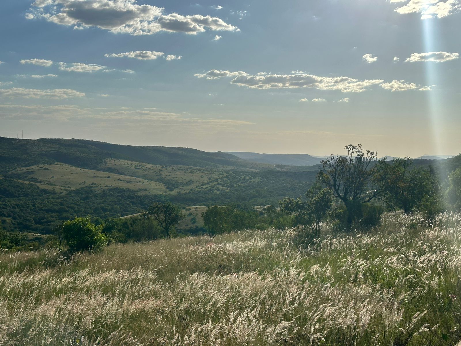 Beautiful Property For Sale Within The Elandsfontein Eco Park Estate