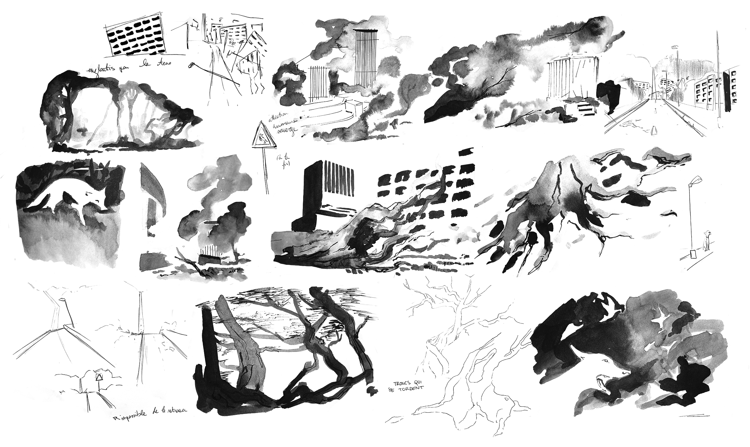 Charadesign PEYRR AVERNAY