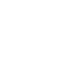 CSS